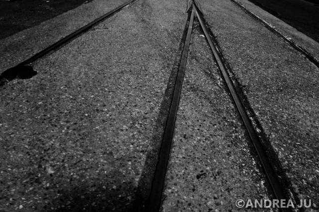tn_DSC_0198BW