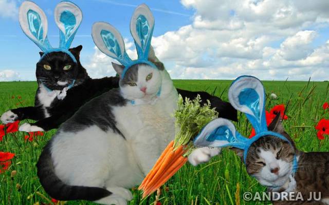 tn_Easter Cats