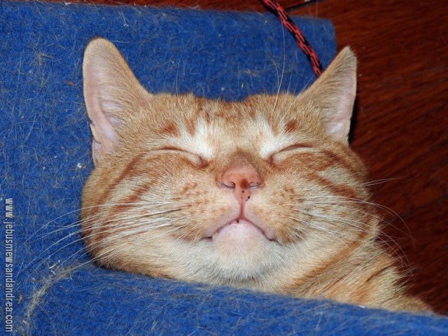 Featured Image -- 5012