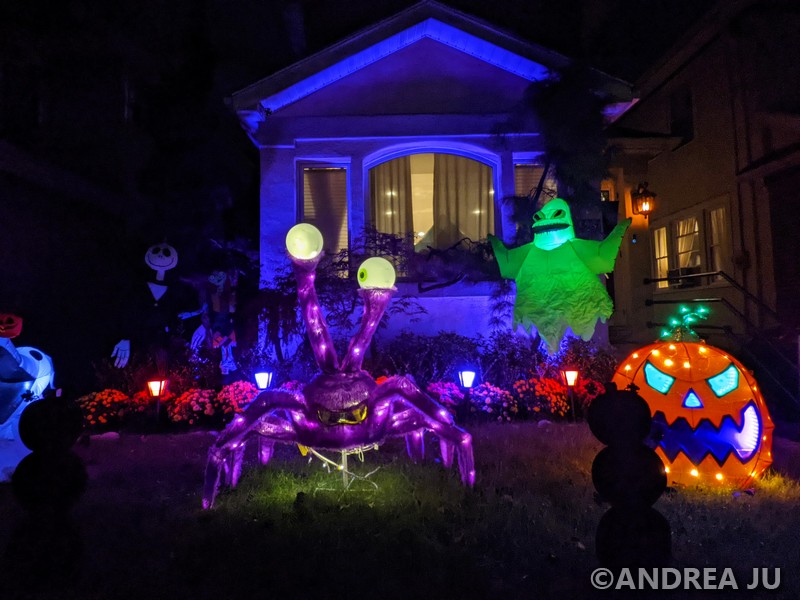 PXL_20211013_002918921