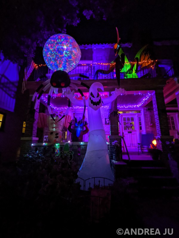 PXL_20211019_225529869