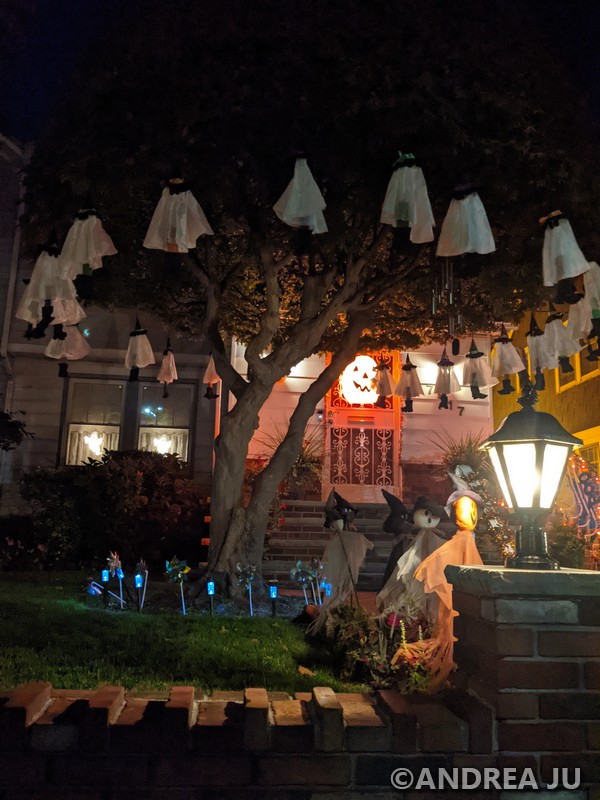 PXL_20211019_230923271