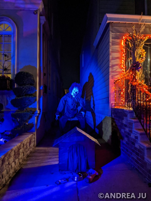 PXL_20211019_232916377